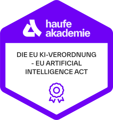 Die EU KI-Verordnung EU Artificial Intelligence Act_Niluefer Yueksel